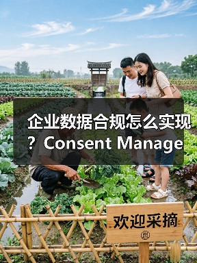 企业数据合规怎么实现？Consent Management全流程管理指南（图4）