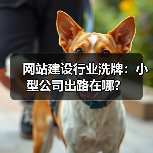网站建设行业洗牌：小型公司出路在哪？