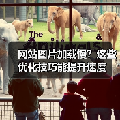网站图片加载慢？这些优化技巧能提升速度（图4）