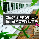网站建设报价陷阱大揭秘，低价背后的隐藏费用全曝光（图4）
