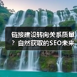 链接建设转向关系质量？自然获取的SEO未来