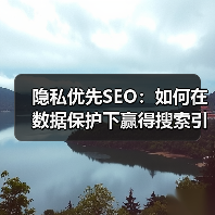 隐私优先SEO：如何在数据保护下赢得搜索引擎青睐（图2）