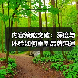 内容策略突破：深度与体验如何重塑品牌沟通？