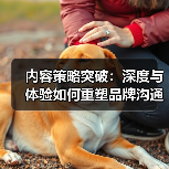 内容策略突破：深度与体验如何重塑品牌沟通？（图2）