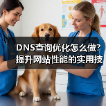 DNS查询优化怎么做？提升网站性能的实用技巧（图2）