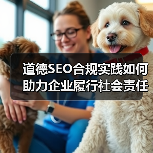 道德SEO合规实践如何助力企业履行社会责任？（图3）