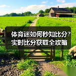 体育迷如何秒知比分？实时比分获取全攻略（图2）