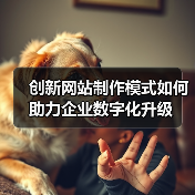 创新网站制作模式如何助力企业数字化升级（图2）