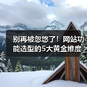 别再被忽悠了！网站功能选型的5大黄金维度（图3）