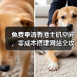 免费申请香港主机空间，零成本搭建网站全攻略（图4）