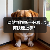 网站制作新手必看：如何快速上手？