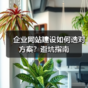 企业网站建设如何选对方案？避坑指南（图3）