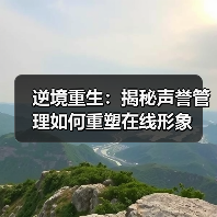 逆境重生：揭秘声誉管理如何重塑在线形象（图4）