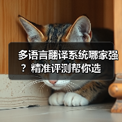 多语言翻译系统哪家强？精准评测帮你选（图4）