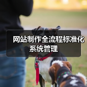 网站制作全流程标准化系统管理（图2）