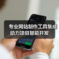 专业网站制作工具集成助力项目智能开发