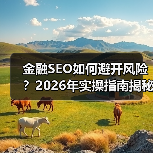 金融SEO如何避开风险？2026年实操指南揭秘（图2）