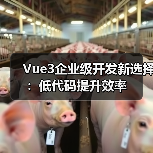 Vue3企业级开发新选择：低代码提升效率（图2）