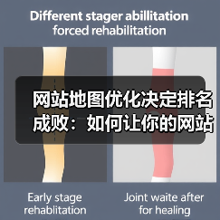 网站地图优化决定排名成败：如何让你的网站流量暴涨？（图3）