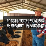 如何利用实时数据把握财务动向？揭秘股票信息背后的决策密码（图4）