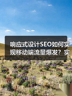 响应式设计SEO如何实现移动端流量爆发？实测解析