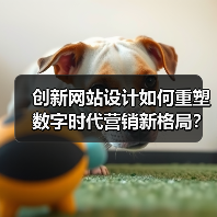 创新网站设计如何重塑数字时代营销新格局？（图2）