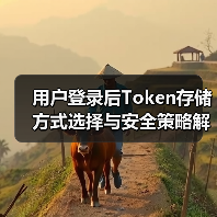用户登录后Token存储方式选择与安全策略解析（图2）