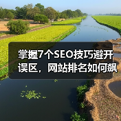 掌握7个SEO技巧避开误区，网站排名如何飙升？（图4）