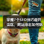 掌握7个SEO技巧避开误区，网站排名如何飙升？（图3）