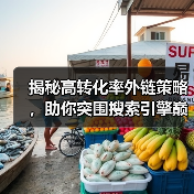 揭秘高转化率外链策略，助你突围搜索引擎巅峰
