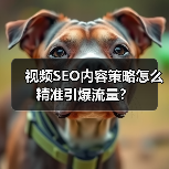视频SEO内容策略怎么精准引爆流量？（图3）