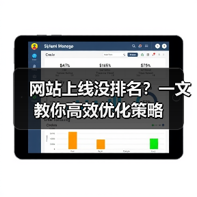 网站上线没排名？一文教你高效优化策略（图4）