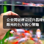 企业网站建设提升品牌曝光的五大核心策略（图2）