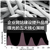 企业网站建设提升品牌曝光的五大核心策略（图4）