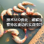 技术SEO优化：破解搜索排名波动的实战技巧（图2）