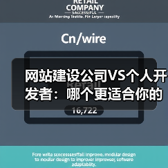 网站建设公司VS个人开发者：哪个更适合你的项目？（图2）