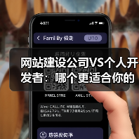 网站建设公司VS个人开发者：哪个更适合你的项目？（图3）