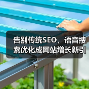 告别传统SEO，语音搜索优化成网站增长新引擎（图4）