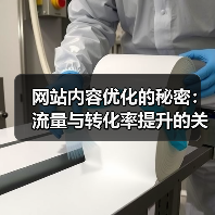 网站内容优化的秘密：流量与转化率提升的关键（图2）