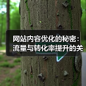 网站内容优化的秘密：流量与转化率提升的关键（图4）
