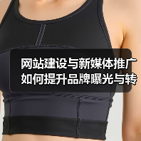 网站建设与新媒体推广如何提升品牌曝光与转化率？（图3）
