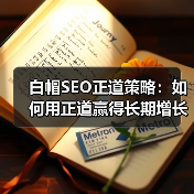 白帽SEO正道策略：如何用正道赢得长期增长？（图3）