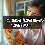 如何通过内部链接策略让网站飙升？（图2）
