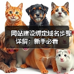 网站建设绑定域名步骤详解：新手必看（图2）