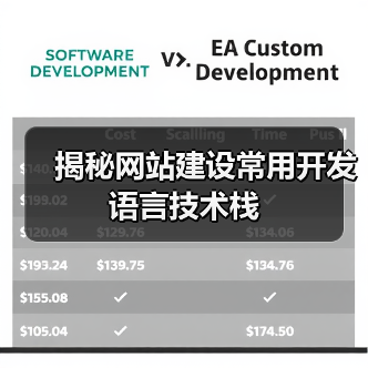 揭秘网站建设常用开发语言技术栈（图4）