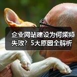 企业网站建设为何频频失败？5大原因全解析（图2）