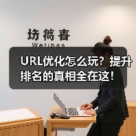URL优化怎么玩？提升排名的真相全在这！（图3）