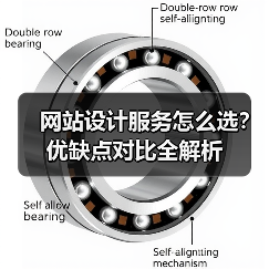 网站设计服务怎么选？优缺点对比全解析（图2）