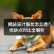 网站设计服务怎么选？优缺点对比全解析（图3）