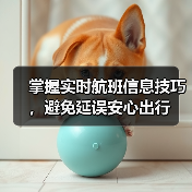 掌握实时航班信息技巧，避免延误安心出行
